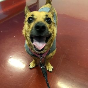 Meet your Posher, Tim